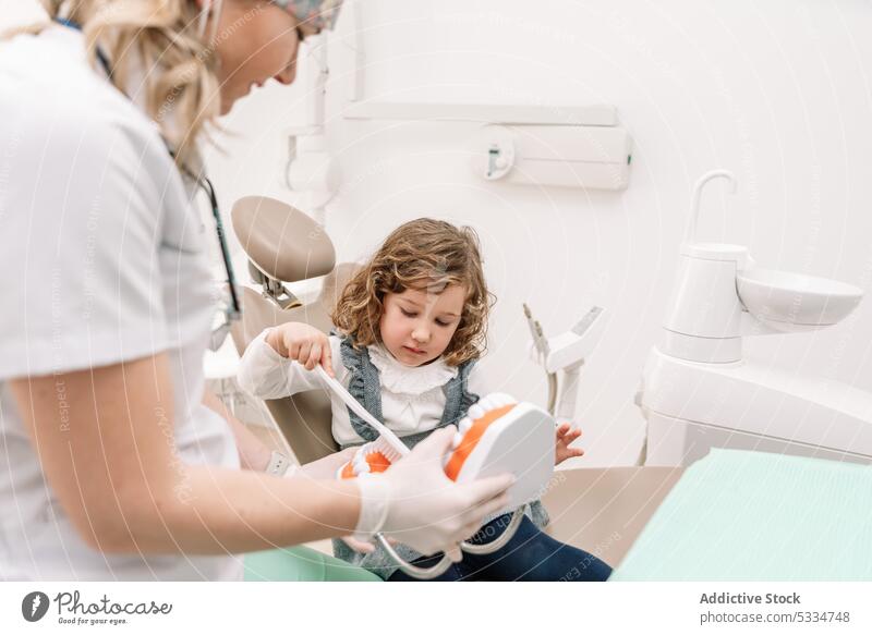 Dentist showing teeth to little girl in dental clinic dentist toothbrush learn patient teach jaw stomatology hygiene model dentistry oral orthodontic woman care