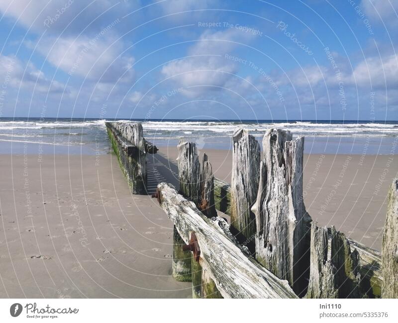 old sheet pile walls on the beach Nature Landscape Beach Sand footprints Ocean Algae beautiful weather sunshine Horizon Waves Clouds in the sky Low tide