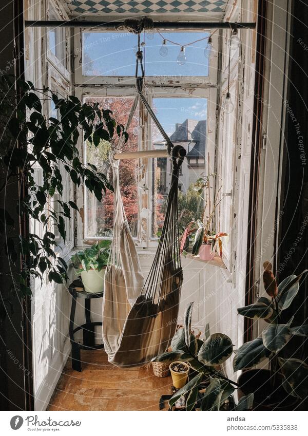 Cozy bay window in old building with hanging seat Flat (apartment) Oriel boho Hanging seat Seating Hammock Dew plants Green Houseplants outlook Old building