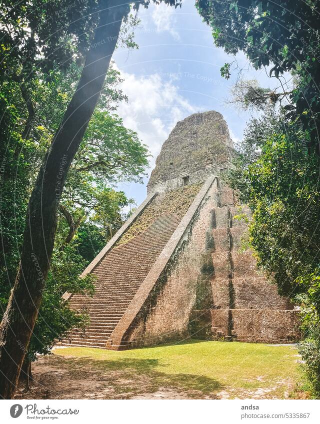 Mayan temple in the jungle in Guatemala Temple Virgin forest jungles Nature History of the Aztec Tikal flores Landmark Architecture Old Ancient Historic Tourism