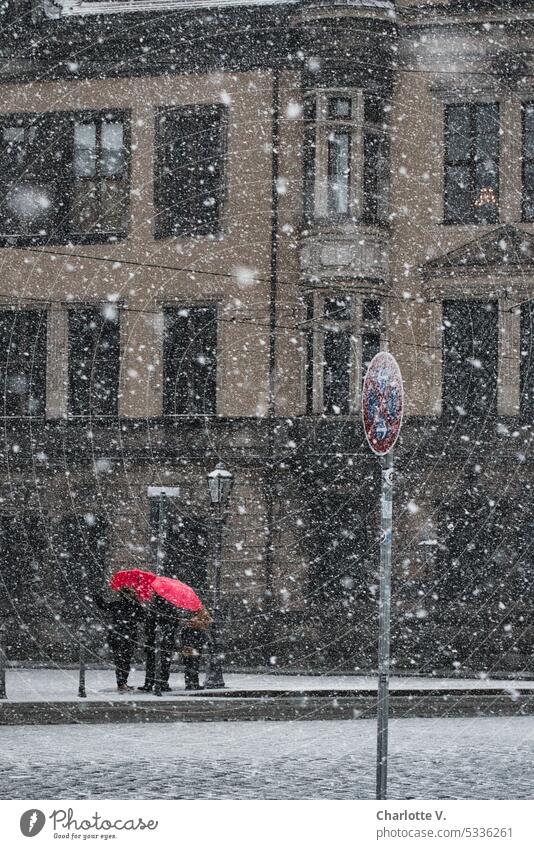 It's snowing in Dresden! Two red umbrellas in the old town Snow snowflakes Winter Snowfall Cold winter Winter mood Winter's day Weather White snow flurries