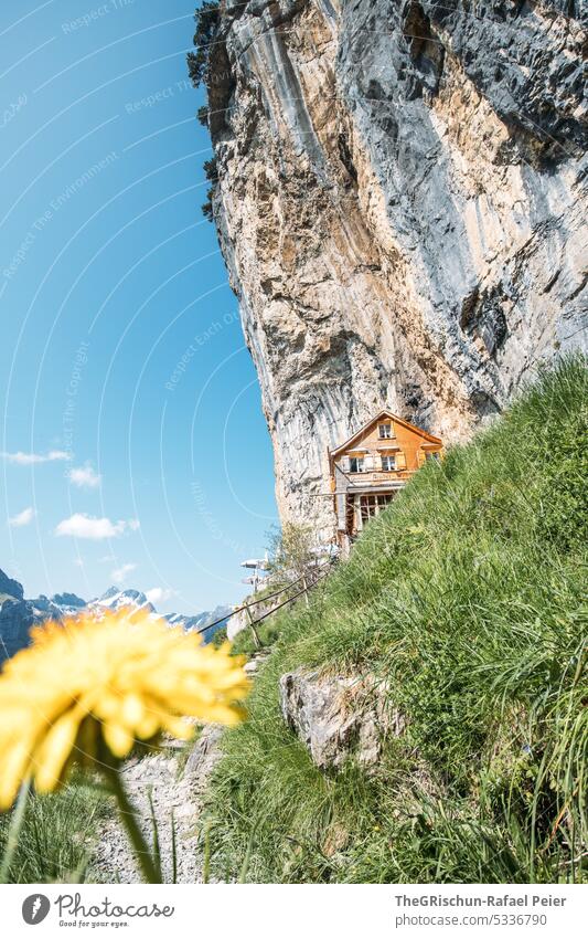 House built in rock with flower in foreground House (Residential Structure) Rock Switzerland appenzellerland asher Stone Hiking popular touristic Exterior shot