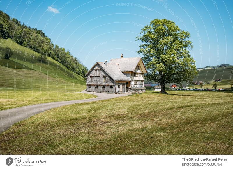 Appenzeller house with tree and hill in background House (Residential Structure) appenzellerland Tree Switzerland Forest Meadow Hiking Tourism Alpstein Sky