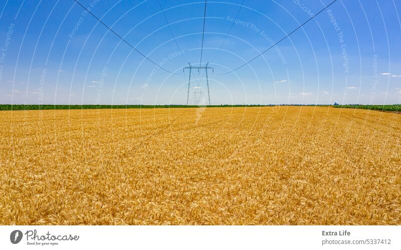 Aerial view over agricultural fields in summer with cereals, wheat is ripe for harvest Above Agriculture Cable Cereal Construction Country Crop Divided Dry
