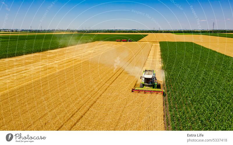 Aerial view on combine, harvester machine, harvest ripe cereal Above Agriculture Cereal Combine Country Crop Cultivation Cut Dry Dust Dusty Farming Farmland