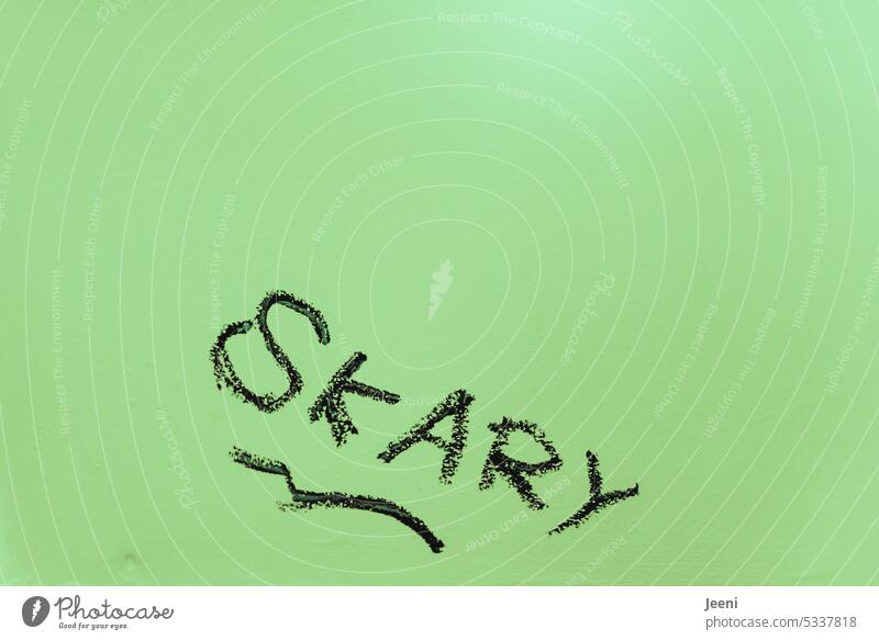 SKARY scary Eerie Creepy Fear Panic Threat Mysterious Dangerous Frightening sarcastically Sarcasm Spelling Error Green Daub authored Word Letters (alphabet)