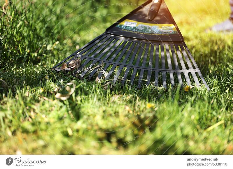 Unrecognised man is raking leaves with a plastic black rake. Cleaning of garbage and dry grass from the lawn with a fan rake. Concept of preparing garden for winter, spring. Taking care of garden
