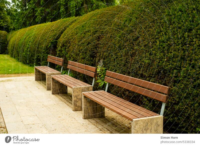Benches in front of round bushes benches Row Side by side Formation Sit accurate Structures and shapes Beaded Row of seats Empty Symmetry serial Repeating Green