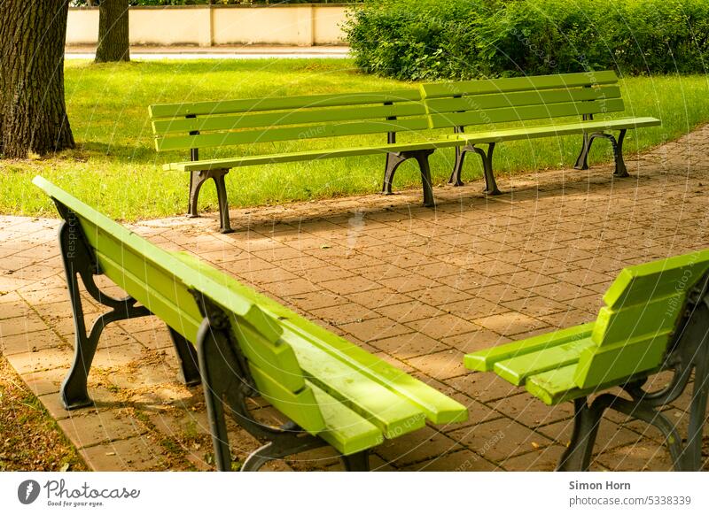 Benches in colors adapted to the environment Adjustment Green conference benches Meeting point Camouflage Park park Relaxation Break Shadow Shade of a tree