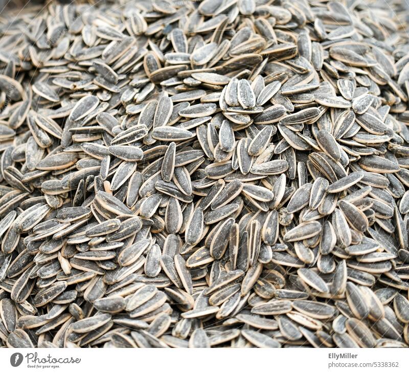 Black and white salted sunflower seeds Sunflower seeds naturally Kernels & Pits & Stones White Healthy Food Delicious Tasty Close-up Salty Snack background