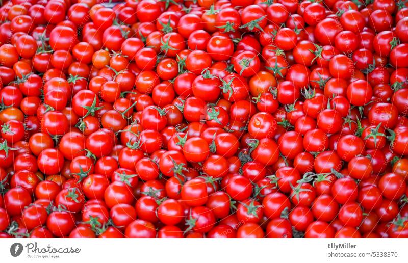 Lots and lots of red tomatoes. Fresh vegetables. Red Mature Vegetable Healthy naturally Nutrition Tomato Vegetarian diet Healthy Eating Vegan diet Harvest