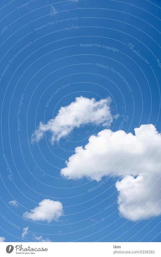 cloud play Clouds Beautiful weather Sky Blue sky Deserted Day Sunlight Colour photo Copy Space top