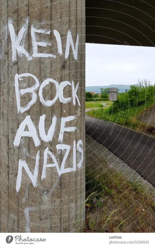 Title: see photo no Buck on Nazis Illustration Grafitto Concrete Bridge Structures and shapes Text AfD policy right-wing extremism Company change populism