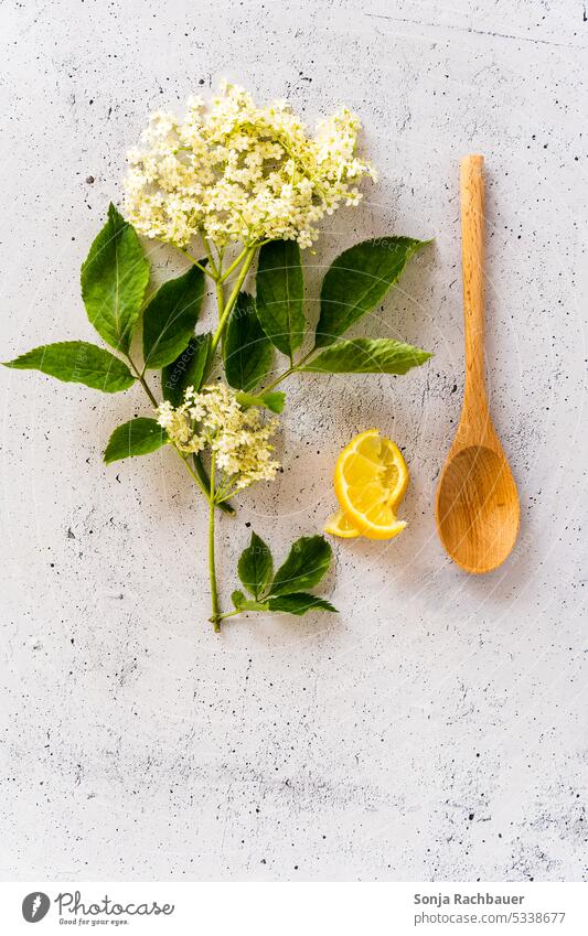 A branch of elderflowers, lemons and a wooden spoon on a gray table. Top view. Elderflower Lemon Wooden spoon Syrup Self-made Ingredients Preparation Summer