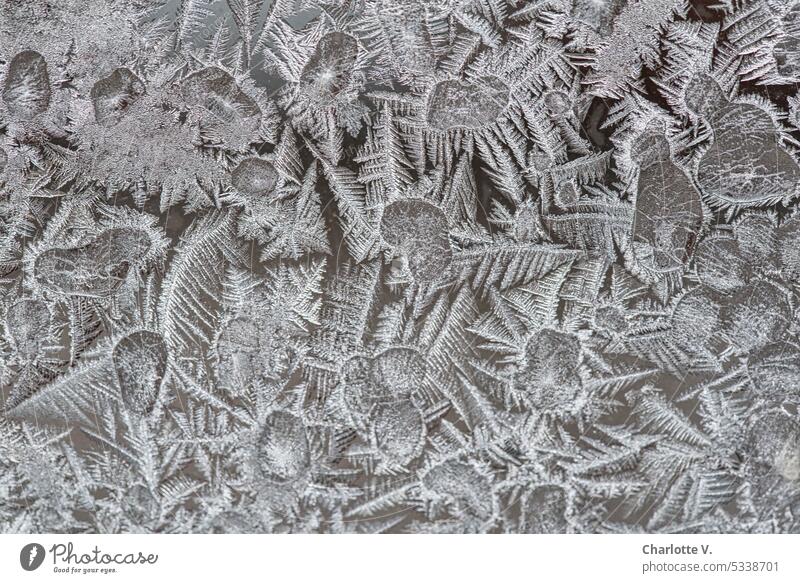 Comparison | Pointed and round ice crystals Winter Frost Cold Frozen Ice chill winter Close-up Frostwork Seasons Ice crystal Crystal structure Detail