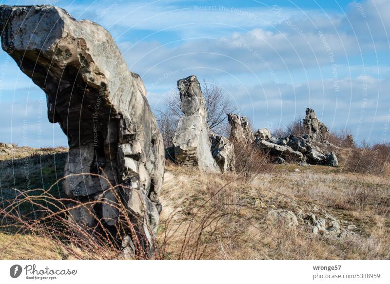 Rock formation of the Devil's Wall Teufelsmauer rock formation Nature Landscape Exterior shot Deserted Colour photo Sky Day Wide angle Subdued colour