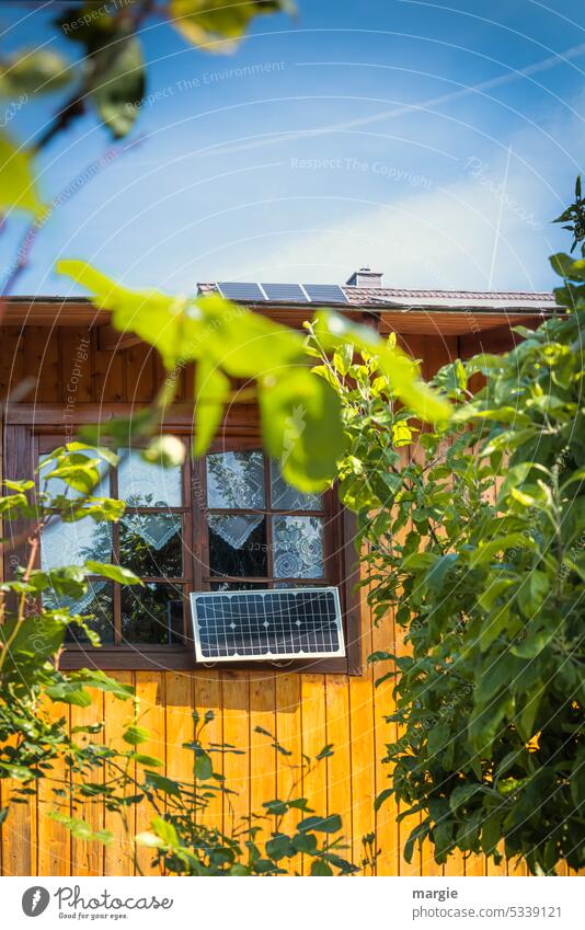 Solar panel on garden house solar Sunlight photovoltaics Energy Solar Power Renewable energy Gardenhouse bushes Window Window panes curtains Sustainability