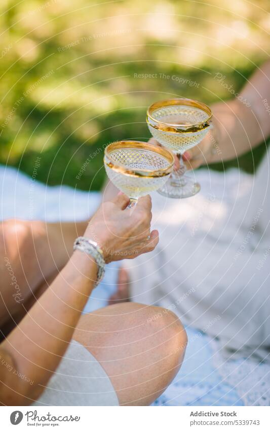 Crop women clinking glasses on picnic friend nature summer cheers champagne toast meadow lawn drink grass friendship alcohol blanket celebrate together beverage
