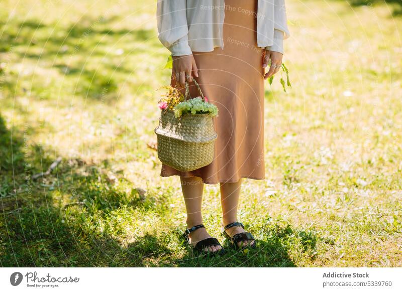 Woman with wicker basket standing in park woman flower nature flora bouquet summer female countryside fresh young daytime garden calm style sun blossom season