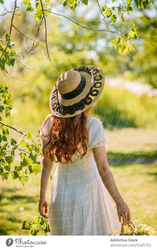 Unrecognizable woman with wicker basket walking in sunny nature lawn field summer countryside tree garden straw hat female lush grassy meadow young sundress
