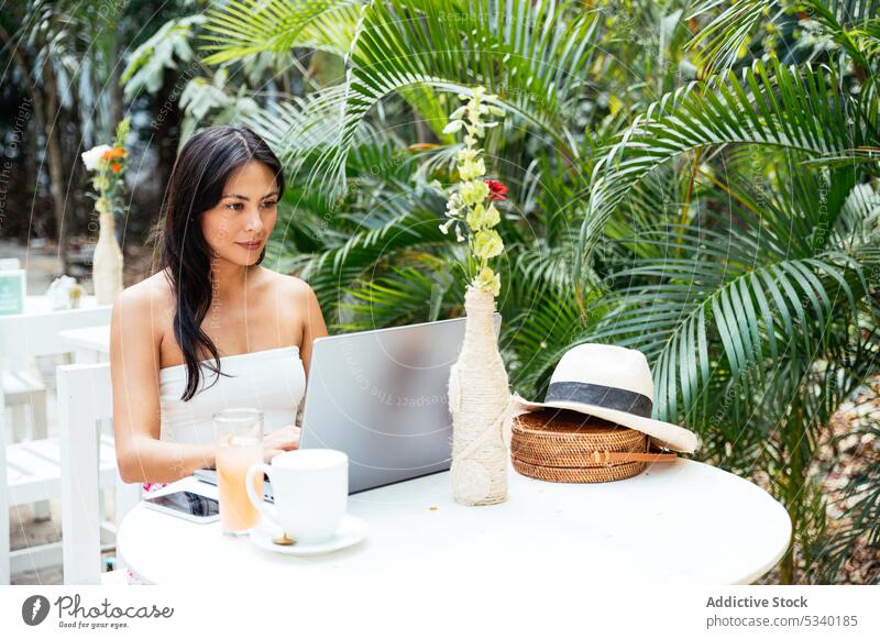 Focused woman working on laptop in outdoor cafe freelance tropical remote browsing project concentrate summer gadget tulum mexico mexican asian device using