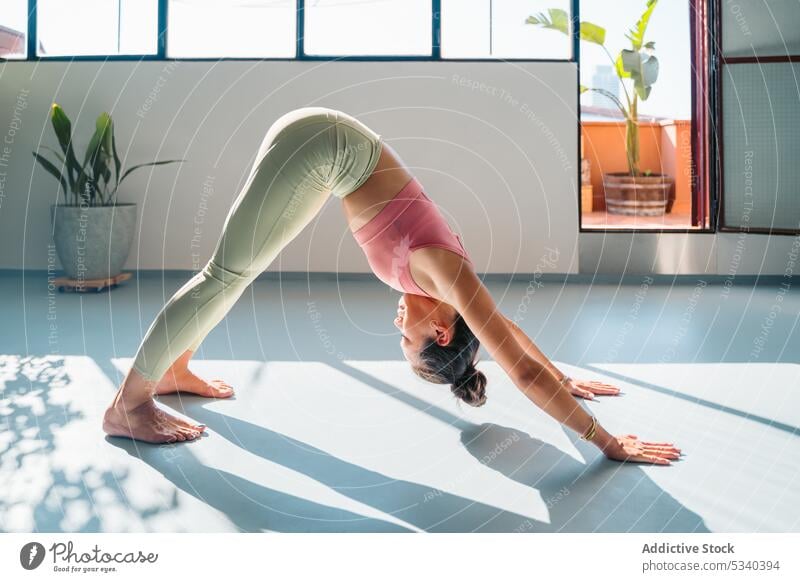 Focused woman performing Downward Facing Dog pose in studio yoga concentrate asana stretch mindfulness eyes closed downward facing dog pose meditate practice