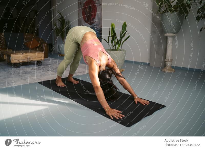 Focused woman performing Downward Facing Dog pose in studio yoga concentrate asana stretch mindfulness downward facing dog pose meditate practice balance