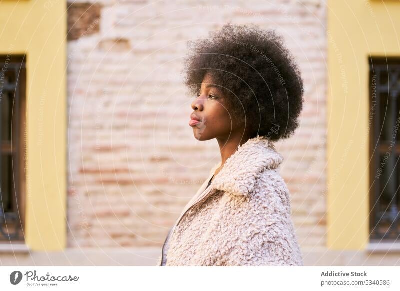Serious black teenager in Afro hair and cozy clothes afro coat trendy outfit building windows wall warm clothes street female young african american curly hair