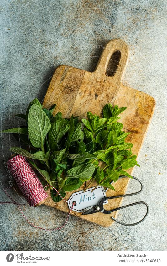 Fresh mint plant ready for cooking background bond bouquet cutting board diet eat food fresh green healthy hot keto ketogenic kitchen leaves meal old