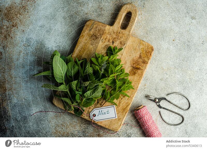 Fresh mint plant ready for cooking background bond bouquet cutting board diet eat food fresh green healthy hot keto ketogenic kitchen leaves meal old