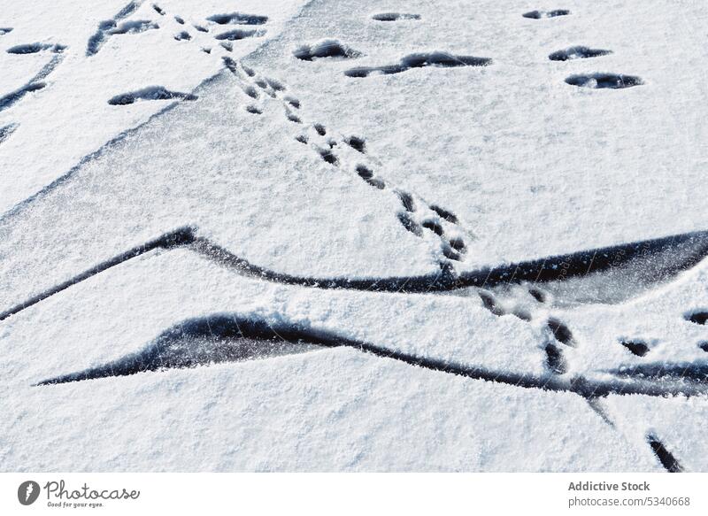Human footprints on snow covered ice human winter trail catch lake different nature cold white season frost walk step trace snowy snowbound weather freeze