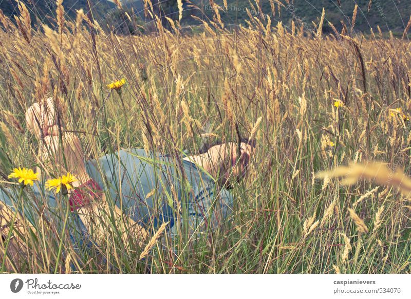 Resting in the long grass Calm Freedom Summer Young man Youth (Young adults) Man Adults 1 Human being 18 - 30 years Environment Nature Meadow flowering pasture