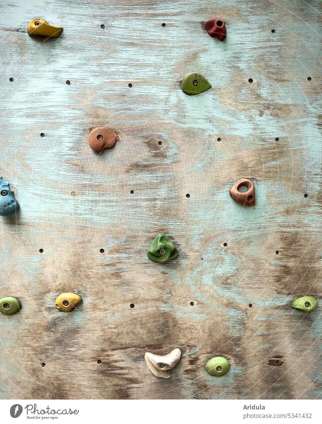 Climbing wall | colorful handles on a wooden plate climbing grips Wood Bouldering Sports Leisure and hobbies Wall (building) Close-up variegated Blue Playground