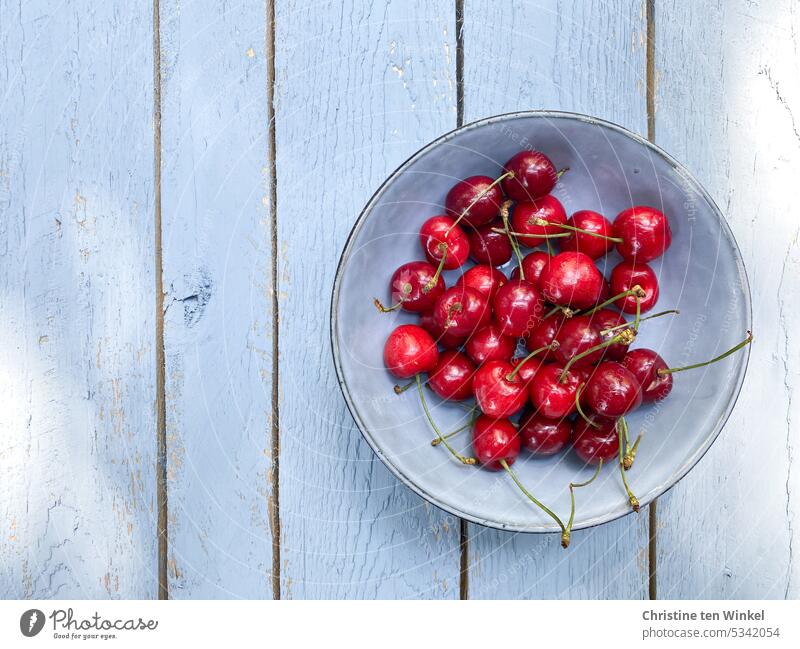 It's cherry time 🍒 cherries sweet cherries cherry season Stone fruit Juicy cute shell blue bowl Vegan diet Vegetarian diet Healthy Eating Wood backing