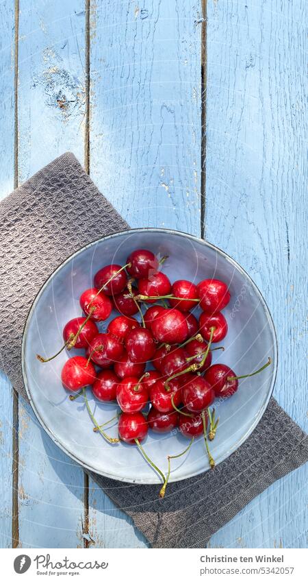 Bright red cherries in a light blue bowl on light blue wooden background sweet cherries cute Juicy Stone fruit cherry season shell Vegan diet Healthy Eating