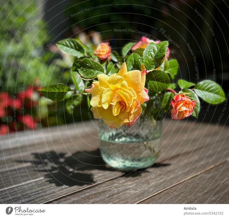 Bouquet of climbing roses stands on a table in a glass vase Yellow Orange apricot Garden Flower Summer Vase Glass Table Terrace Sunlight Shadow Light out