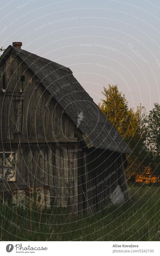 barn Abandoned country side long grass meadow Sunset wooden building old