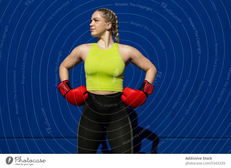 Strong sportswoman standing in boxing gloves against blue wall boxer training practice workout confident strong exercise muscular healthy hand on waist fit