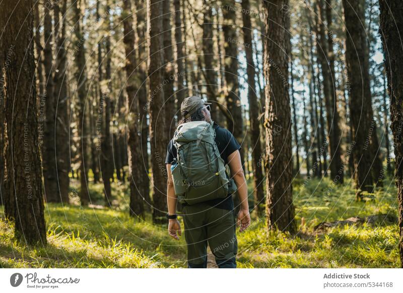 Unrecognizable man walking in coniferous forest traveler nature woods hiker trekking lawn tree trip backpack explore tenerife spain journey wanderlust stroll