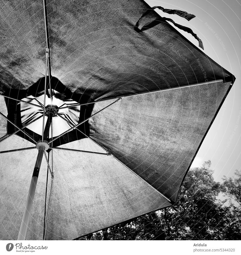Parasol backlit with trees b/w Sunshade Light Protection sun protection Summer Sunlight Shadow Beautiful weather Vacation & Travel Summer vacation Relaxation