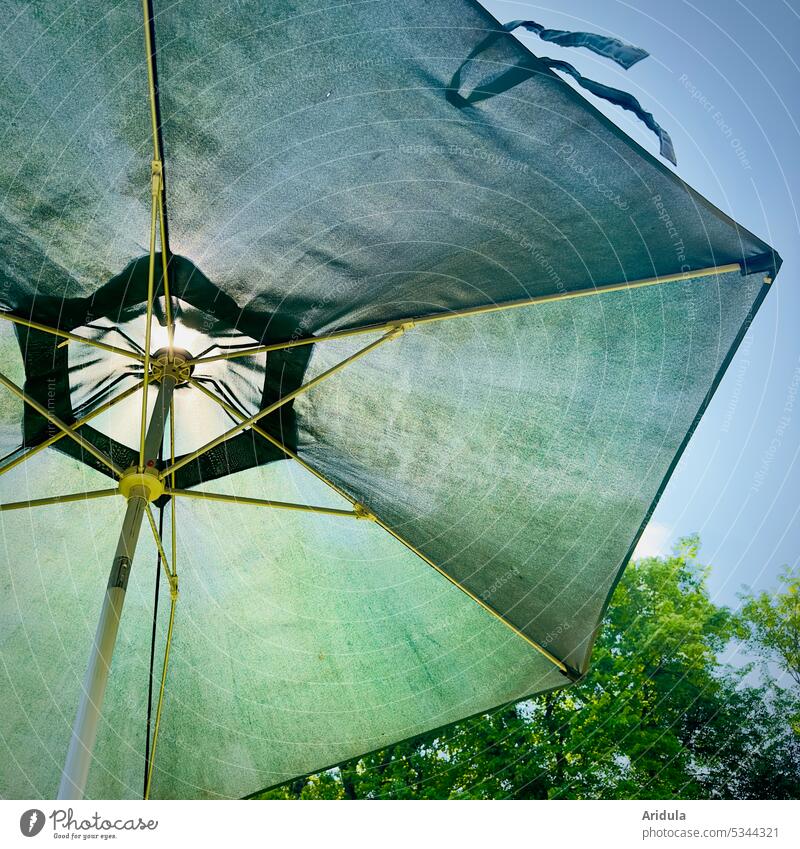 Green parasol backlit with trees Sunshade Sunlight Summer Beautiful weather Sky Light Blue Protection sun protection Cloth linkage Relaxation Summer vacation