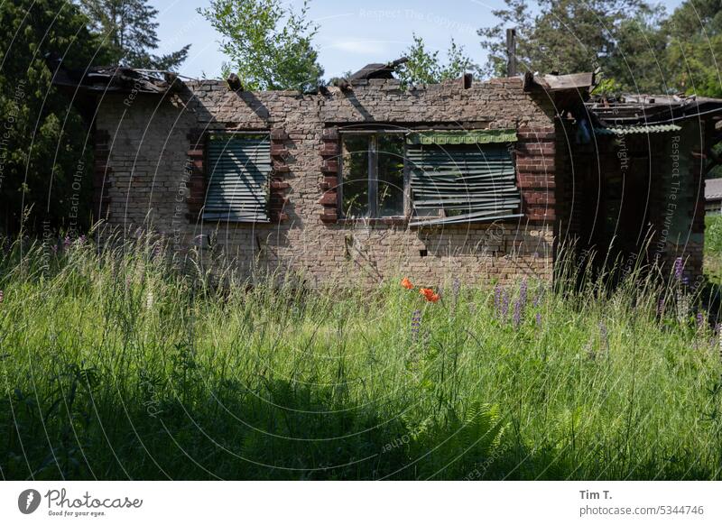 the facade of burnt out house with meadow Meadow Brandenburg House (Residential Structure) fire loss Ruin Summer Deserted Day Window Colour photo Architecture