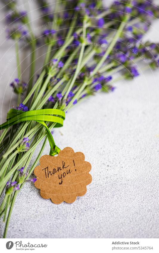 High angle of summer interior decor with fresh lavender flowers on the concrete background blue bond bouquet cement concept daytime floral grey lavandula