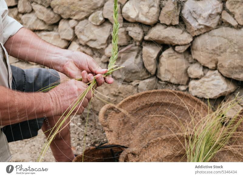 Crop man using esparto grass while weaving basket weave artisan countryside craft nature focus work concentrate male casual fiber small business rural labor