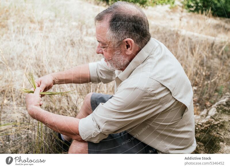 Elderly man using esparto grass while weaving basket weave artisan countryside craft nature focus work concentrate male casual beard fiber serious