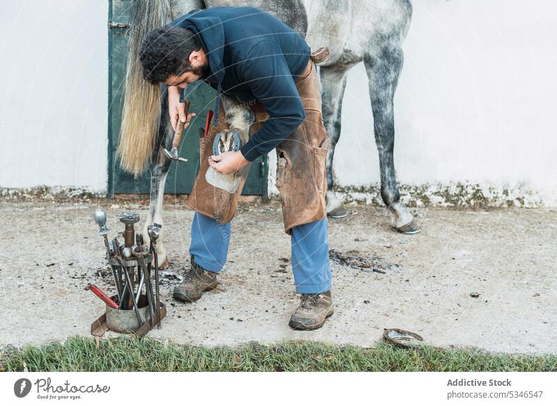 Farrier fixing horseshoe on hoof from horse man farrier nail stable pliers work yard male effort grunge chaps ranch tool labor mammal staff industry care animal