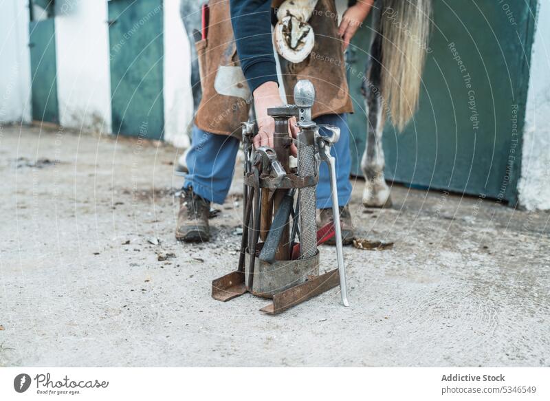 Unrecognizable farrier trimming hoof of horse rasp stable animal equipment instrument equine tool man care mammal uniform professional manual work male job