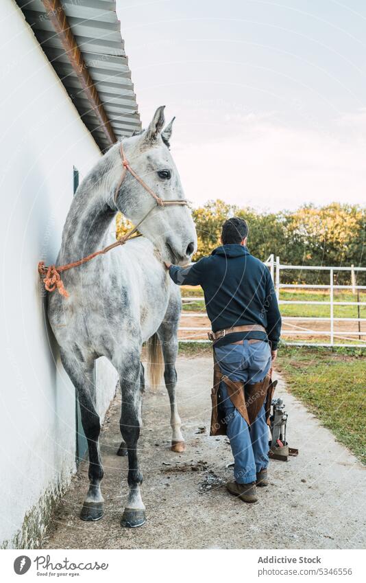 Anonymous farrier petting horse after shoeing man stroke ranch barn walk work tool carry male touch gray tied wall stable sunny daytime obedient rural farm