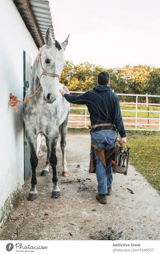 Anonymous farrier petting horse after shoeing man stroke ranch barn walk work tool carry male touch gray tied wall stable sunny daytime obedient rural farm
