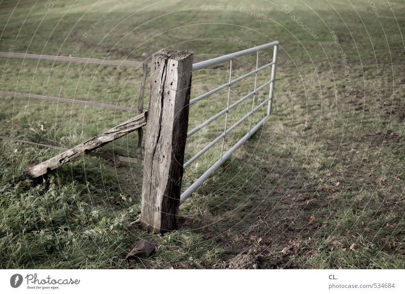 rural exodus Environment Nature Landscape Earth Grass Meadow Field Brown Green Gate Fold Fence Fence post Border Open Cattle Pasture Pasture fence Colour photo